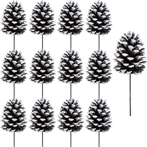 Winlyn 12 Pcs Frosted Pinecone Picks Christmas Pine Cones Sprays White Tipped Medium Pinecones St... | Amazon (US)