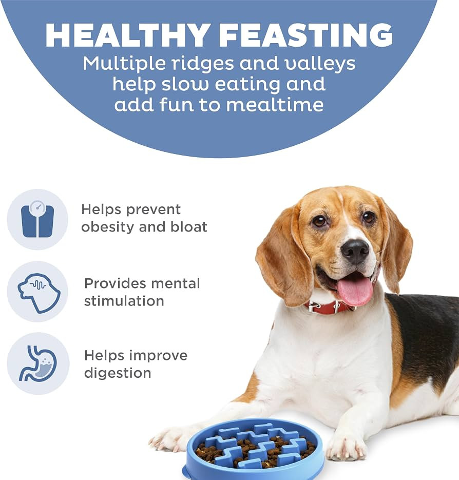 Outward Hound Fun Feeder Slo Bowl – Medium 2‑Cup Capacity, Slow Feeding, Small to Medium Dogs... | Amazon (US)