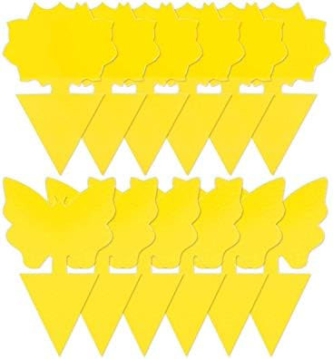 12 Pack Sticky Fruit Fly Trap and Fungus Gnat Traps Killer for Indoor and Outdoor, Protect The Pl... | Amazon (US)