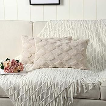 Madizz Pack of 2 Soft Plush Short Wool Velvet Decorative Throw Pillow Covers Luxury Style Cushion... | Amazon (US)