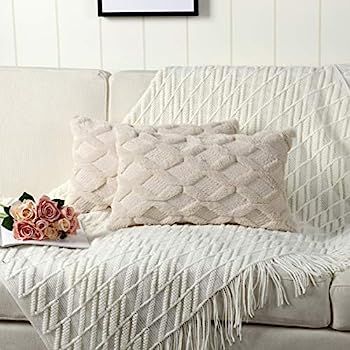 Madizz Pack of 2 Soft Plush Short Wool Velvet Decorative Throw Pillow Covers Luxury Style Cushion... | Amazon (US)