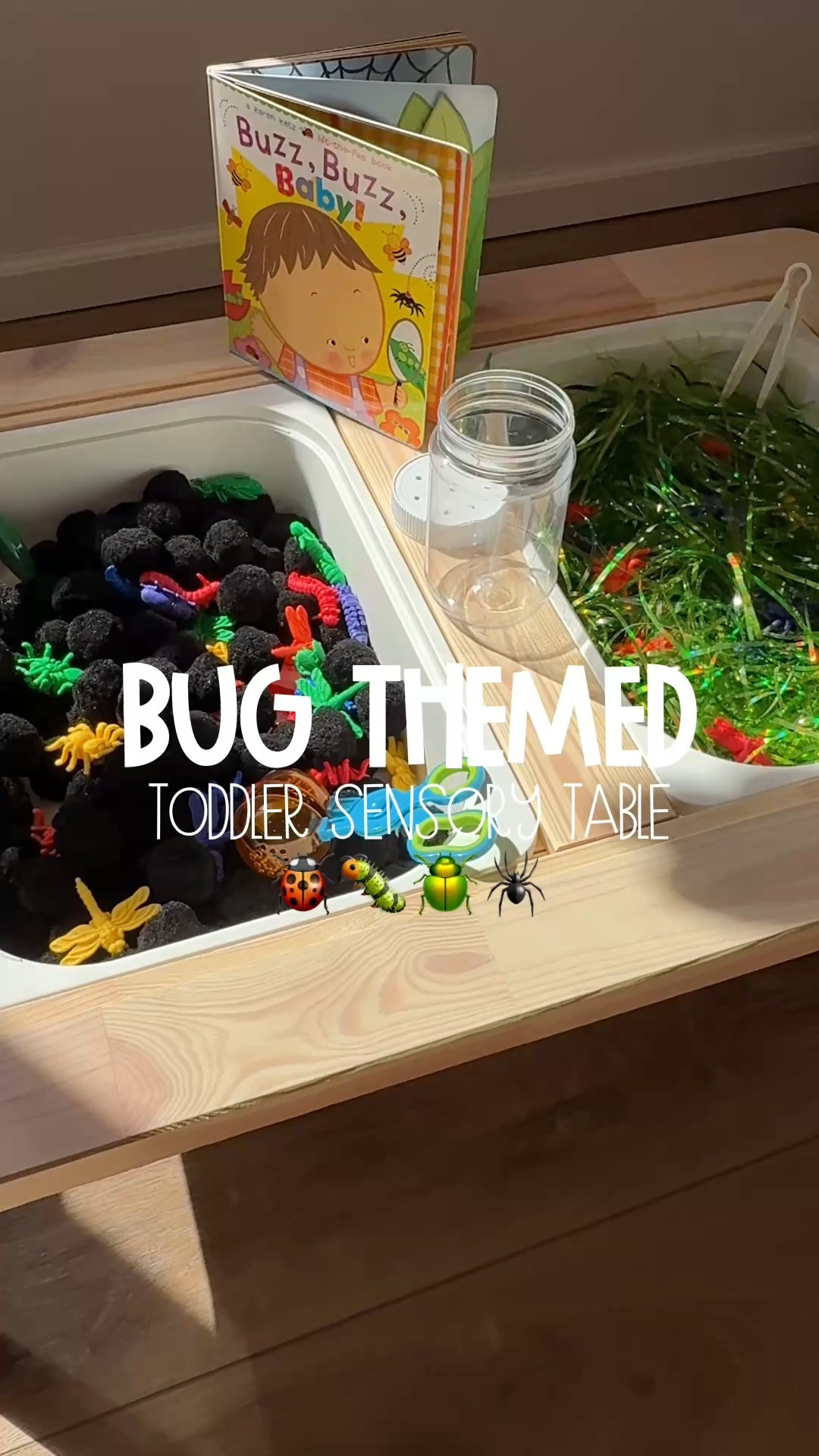 Bug Themed Toddler Sensory Table! 🐞🐛🕷️ 

This is such an easy sensory table to set up! Grab some large black Pompoms, green Easter grass, bugs (I had colorful ones on hand, but there are so many other fun options!), a DIY bug container (left over peanut butter jar that my husband drilled holes in for the bugs to “breathe”), & a fun bug themed board book! 




#toddlersensoryplay #toddleractivities #sensoryactivities #diyactivities #lowprepactivities

#LTKKids #LTKSeasonal