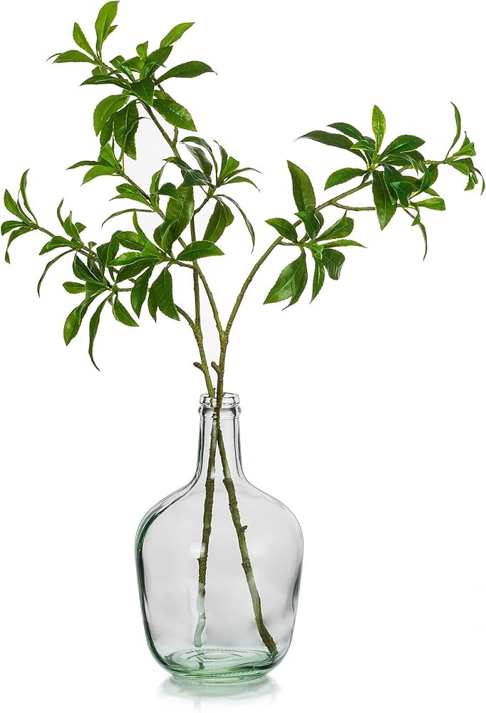 Hewory Large Glass Vase for Decor, 12in Clear Tall Farmhouse Decorative Floor Vase, Round Bubble ... | Amazon (US)