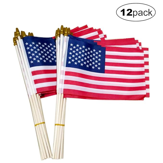 Small American Flags-12 Pack, 5.5x8.2 Inch Small American Flags on Stick, Handheld American Flags... | Amazon (US)
