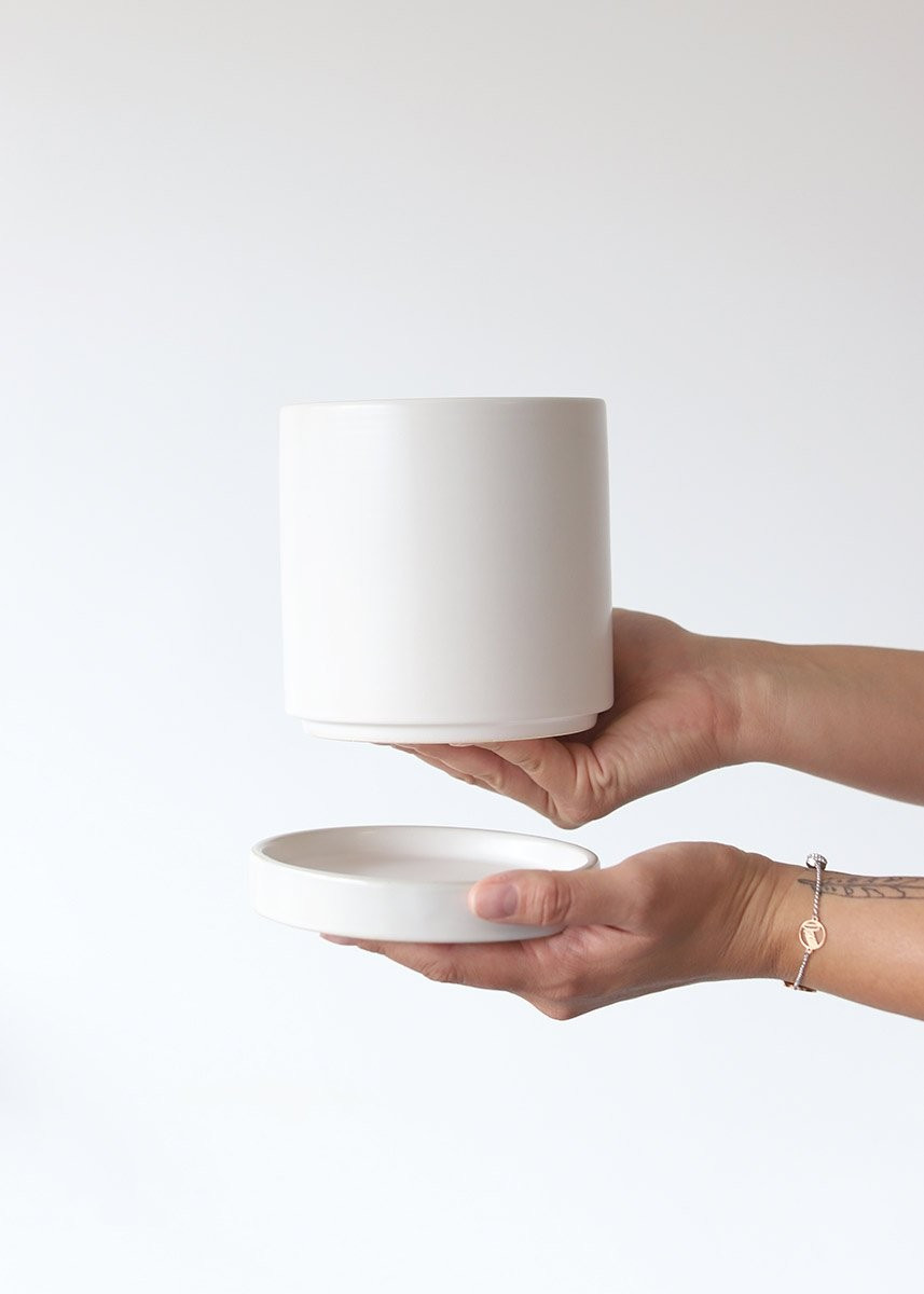 White Romey Ceramic Pot - 5.75" Tall x 5.25" Wide with Drainage | Afloral (US)