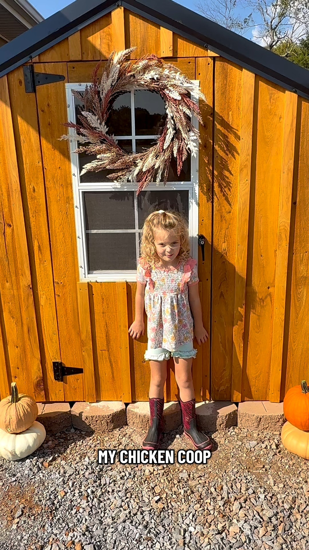 Welcome to our coop! Here is what we swear by for our coop 

#chickens #ltkchicken #home #homedecor #ltkfindsunder50 #sale 

#LTKPets #LTKHome #LTKSaleAlert