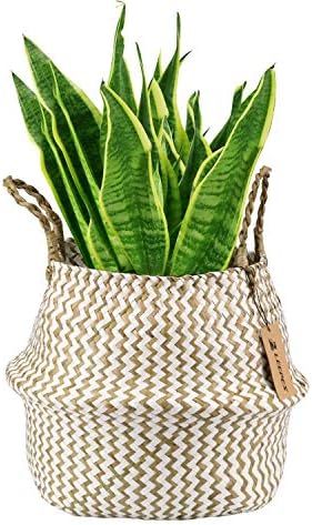 LEEPES Natural Craft Seagrass Belly Basket for Storage, Laundry, Grocery and Picnic Woven Straw B... | Amazon (US)