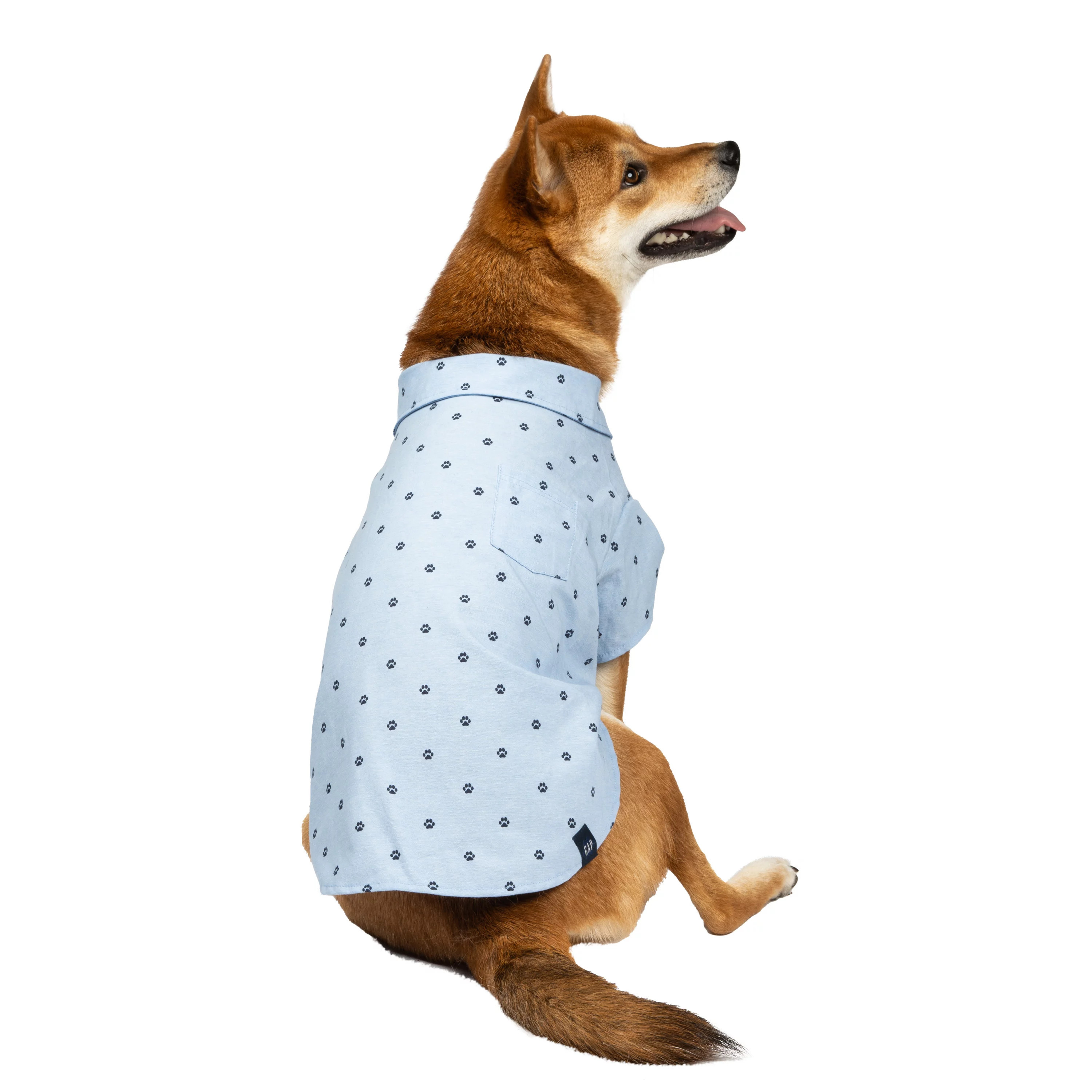 Gap Pet, Dog Clothes, Chambray Gap Pet T-Shirt, Blue, L | Walmart (US)