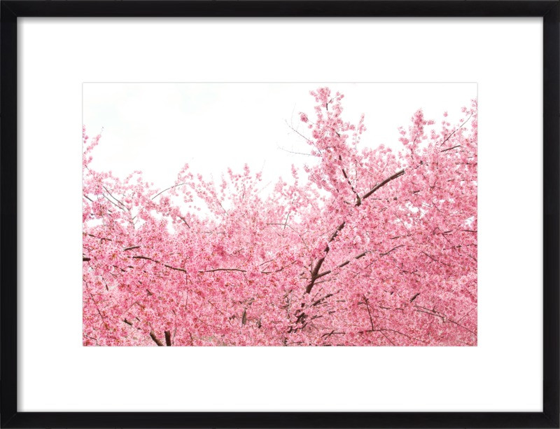 Spring | Artfully Walls