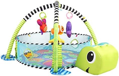 COLOR TREE Baby Activity Gym & Ball Pit 3-in-1 Baby Playmat for Tummy Time Activity Center for In... | Amazon (US)