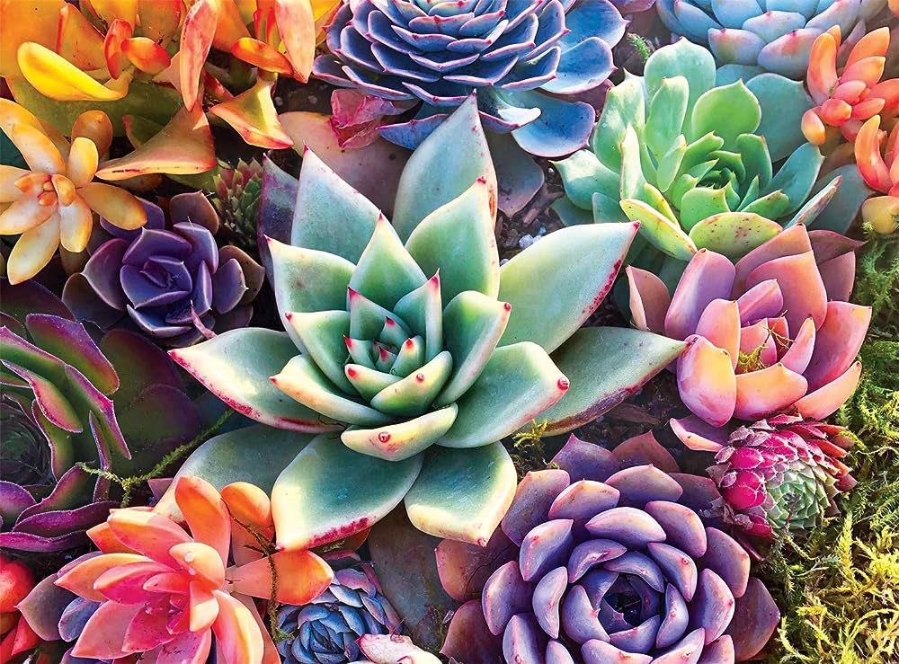 Buffalo Games - Simple Succulent - 1000 Piece Jigsaw Puzzle | Amazon (US)