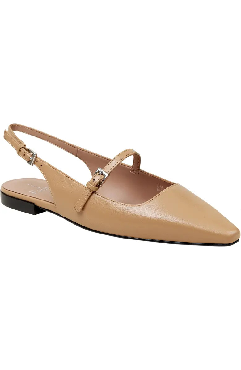 Celeste Slingback Pointed Toe Flat (Women) | Nordstrom