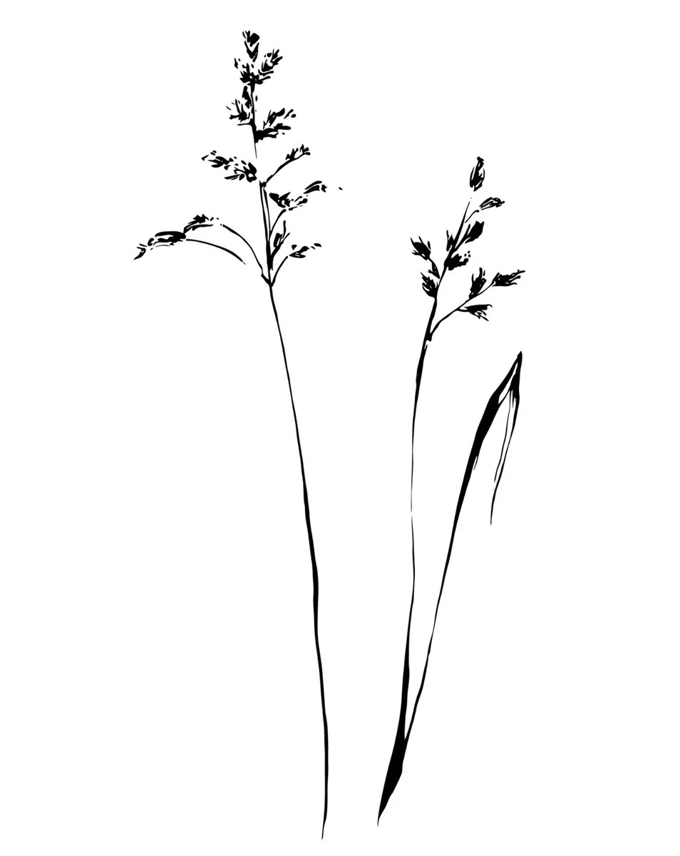 Wild Herb I | Collection Prints