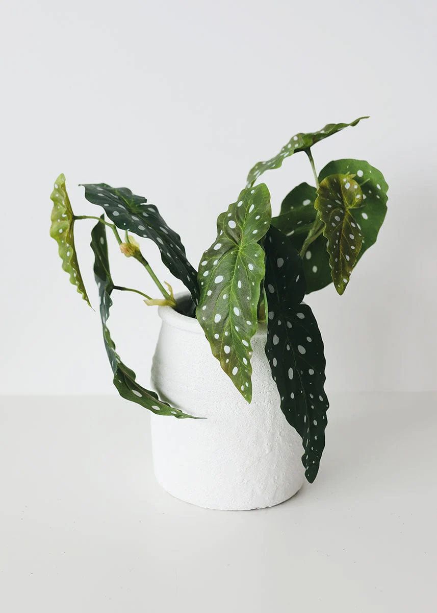 Artificial Angel Wing Begonia Leaf Plant - 12" | Afloral (US)