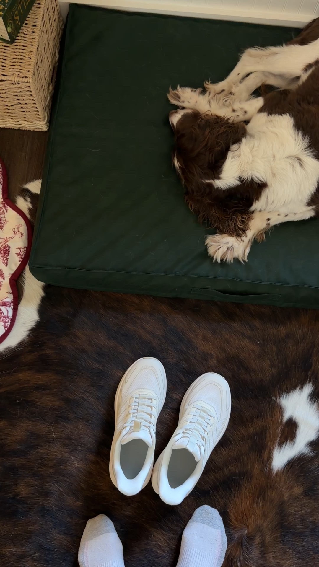 I am not over these extremely comfy slip on tennis shoes 

#LTKGiftGuide #LTKHoliday #LTKShoeCrush