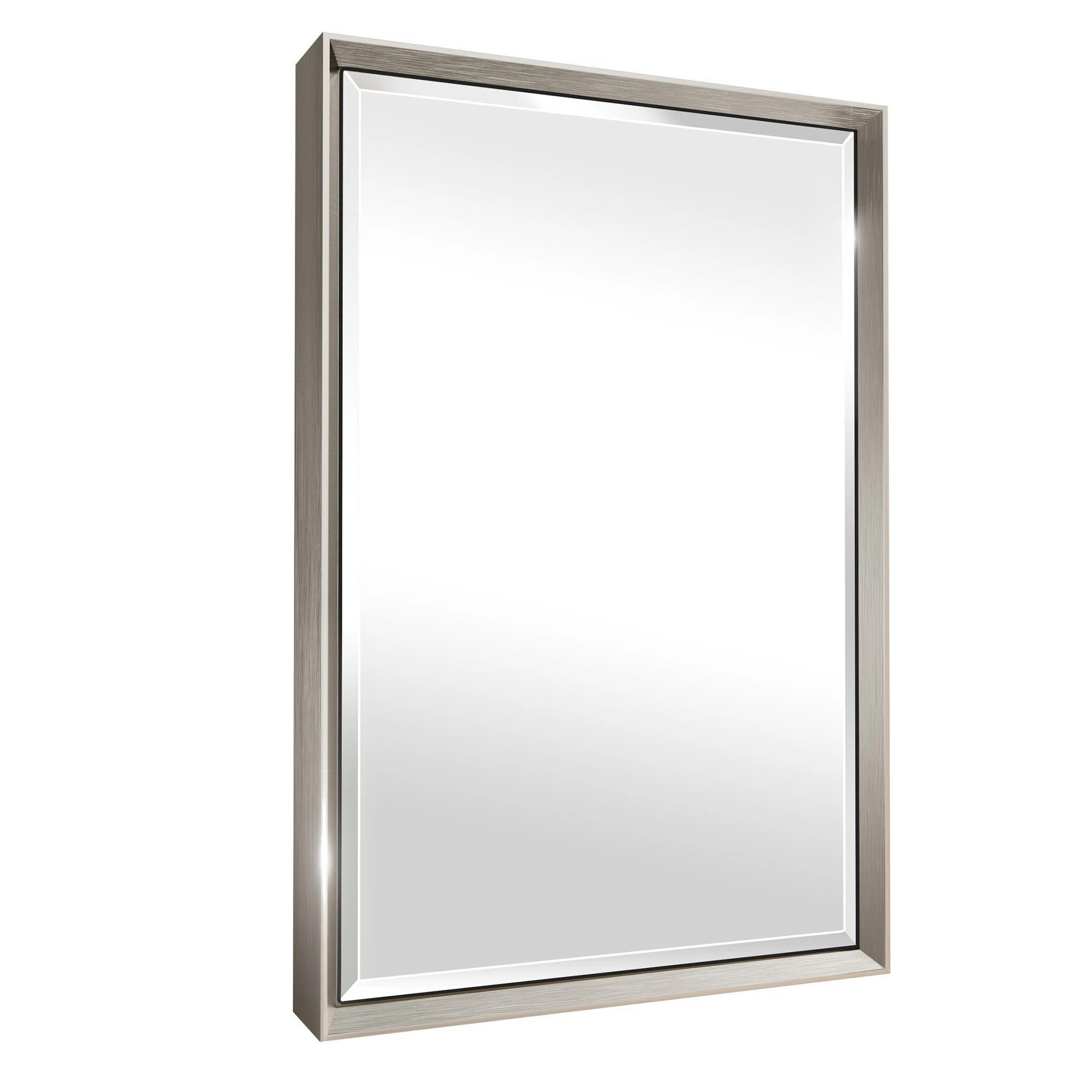 Latitude Run® Lohoski Rectangle Wall Mounted Mirror with Aluminum Metal Frame, Beveled Decorativ... | Wayfair North America