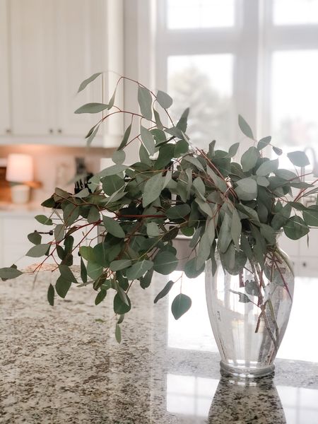 Spring florals ✨

eucalyptus stems, kitchen decor, vase

#LTKhome #LTKSeasonal