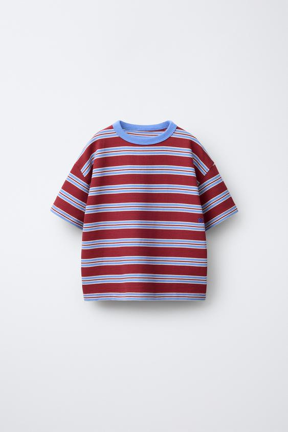 EMBROIDERED STRIPED T-SHIRT | Zara US