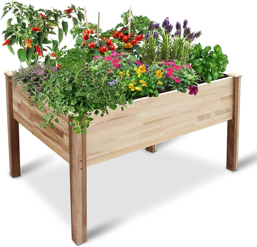 Jumbl Raised Canadian Cedar Garden Bed | Elevated Wood Planter for Growing Fresh Herbs, Vegetable... | Amazon (US)