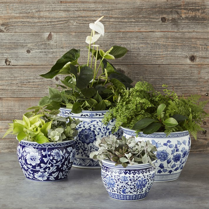 Blue & White Ceramic Planter, Extra Large | Williams-Sonoma