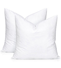Artscope Synthetic Down Pillow Insert, 24x24 Down Alternative Throw Pillow Insert. Ultra Soft Flu... | Amazon (US)