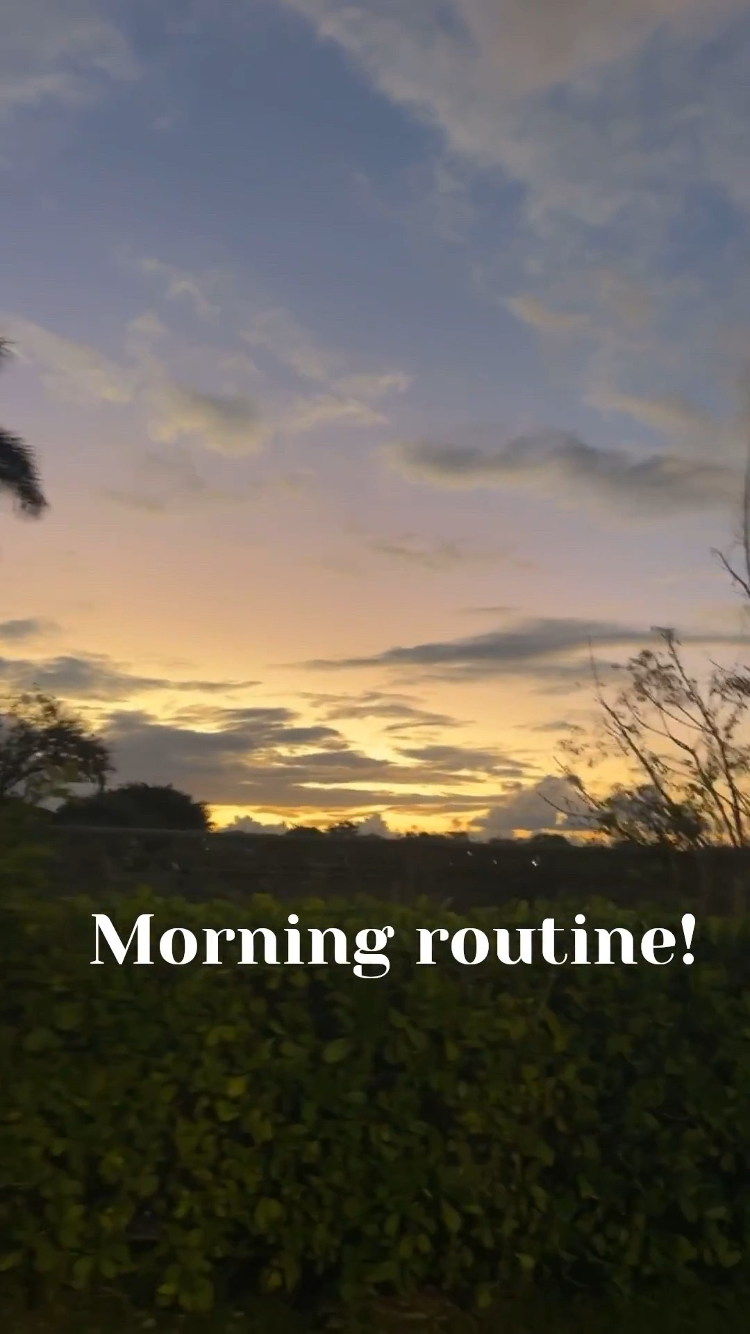 Bonjour!!!

#LTKmomlife #LTKselfcare #LTKmorningroutine