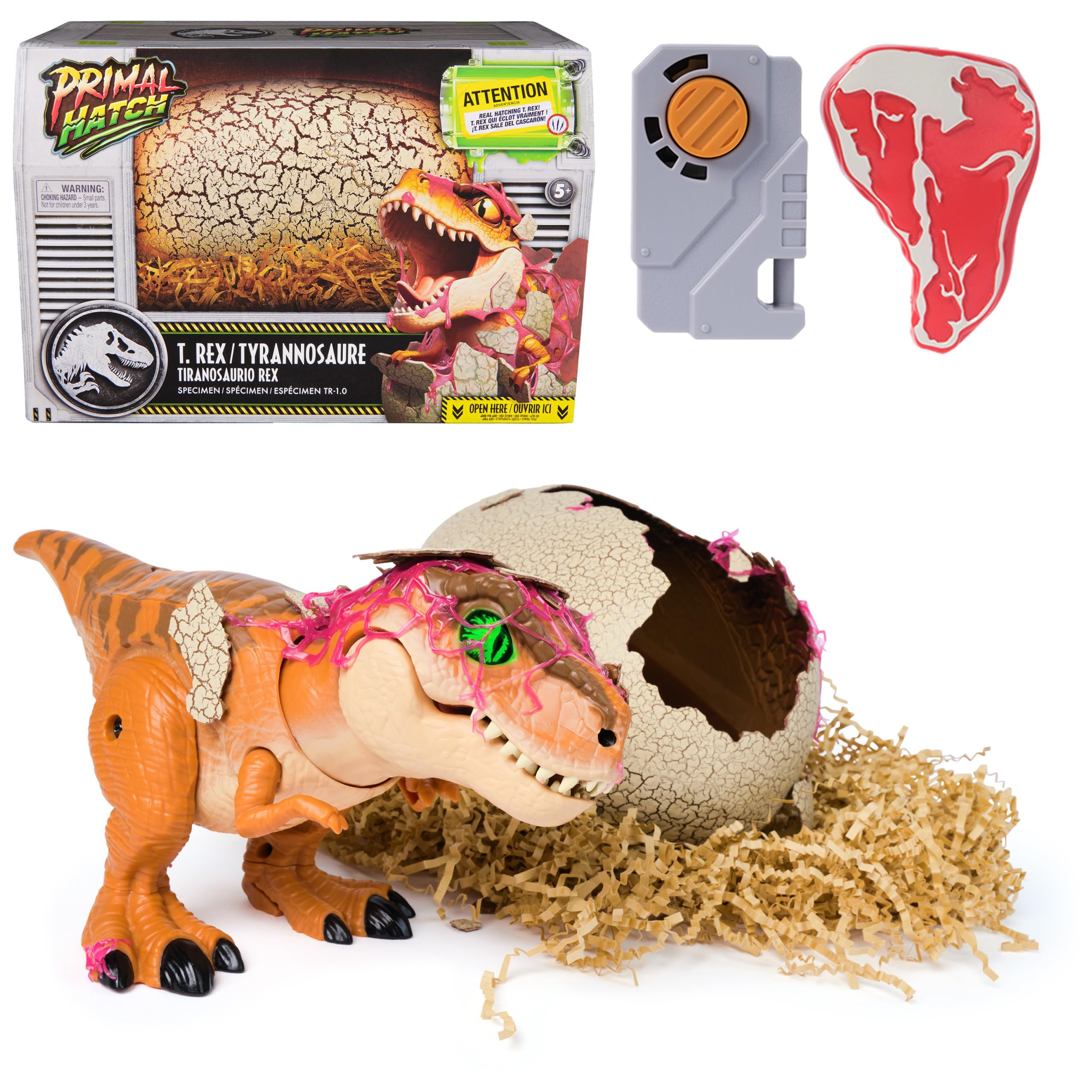 Jurassic World Interactive Toy Dinosaur & Egg, Hatch & Train Your own Baby Dino with 100+ Sounds ... | Amazon (US)