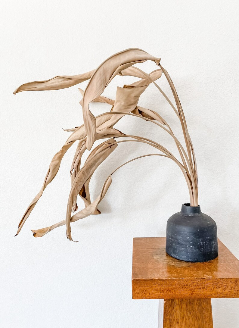 Bird of Paradise Leaves  Dry Leaves - Etsy | Etsy (US)