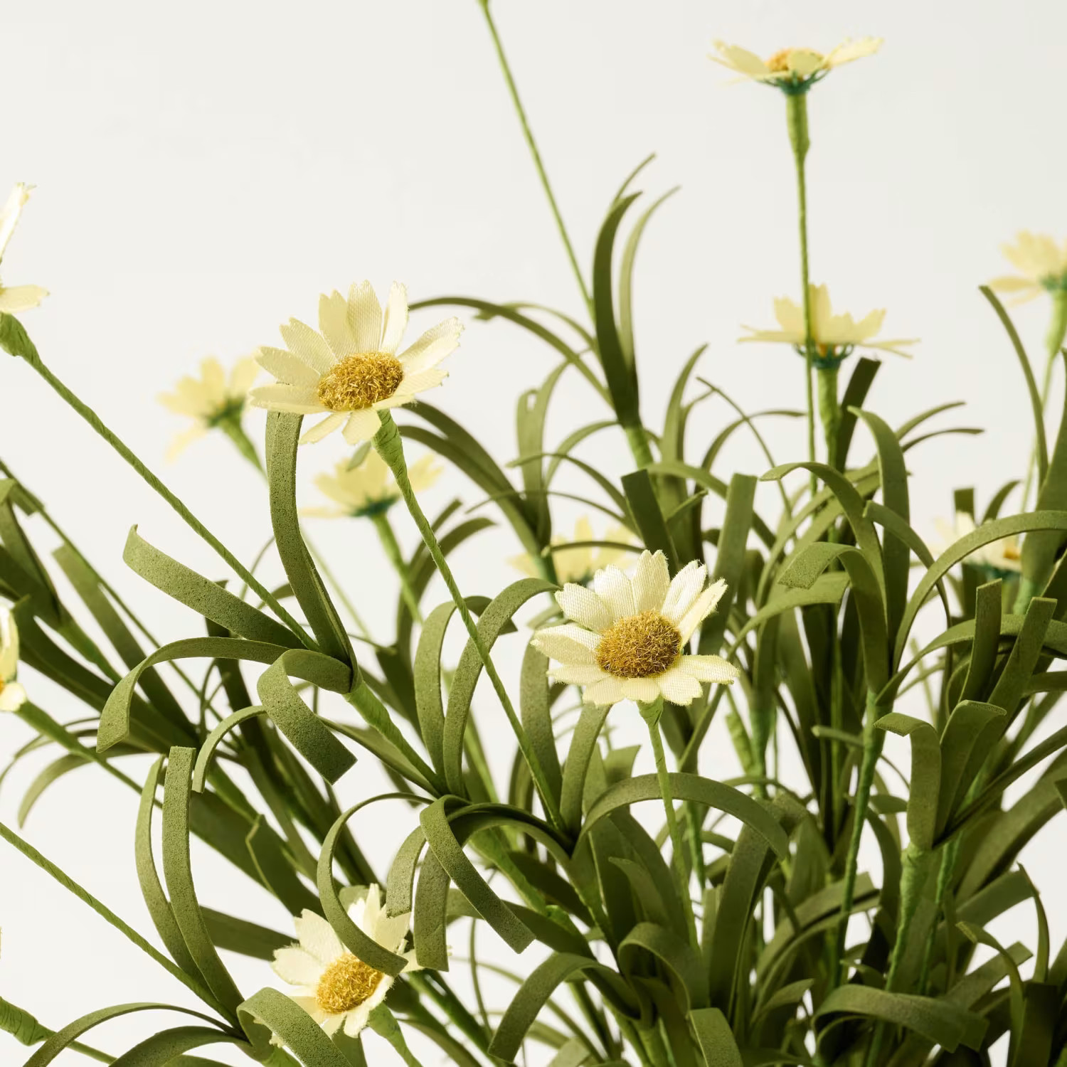 Drop in Daisy Pick | Magnolia