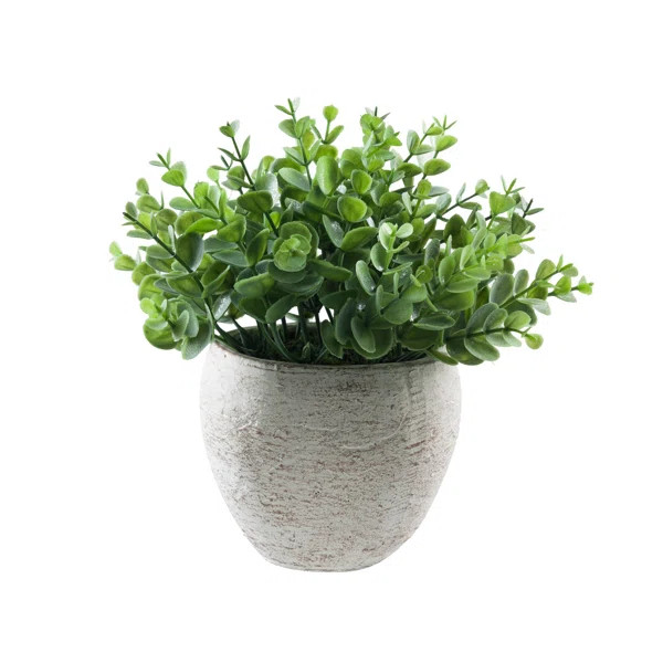 8" Artificial Boxwood Plant in Pot | Wayfair North America