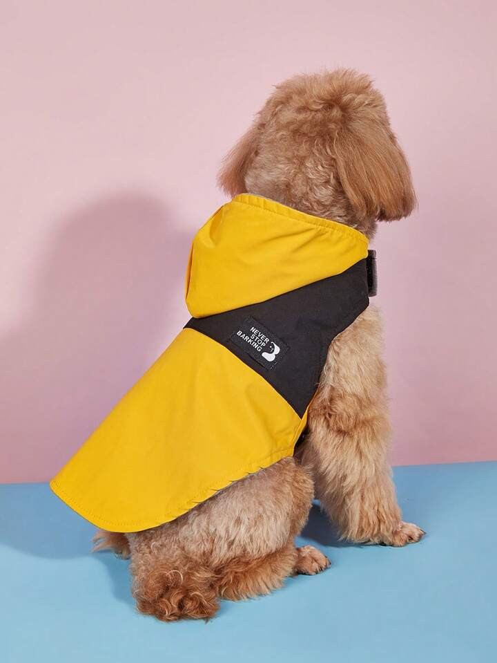 1pc Letter Patch Decor Pet Raincoat For Dog And Cat For Rainy Day
          GBP£6.75           
... | SHEIN