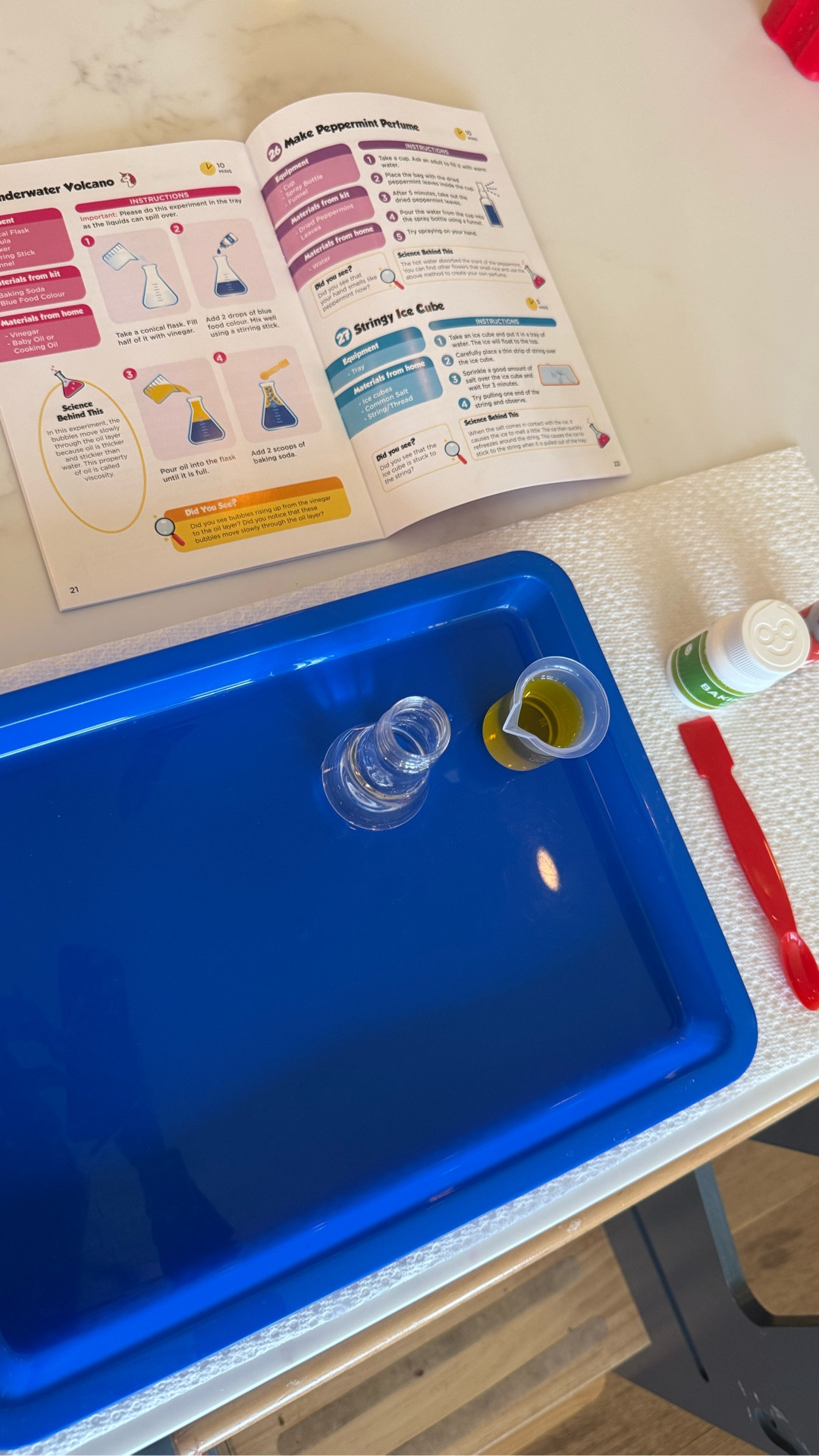 Post-nap science set up for my daughter. She’s going to LOVE this! science

#LTKKids #LTKmomlife