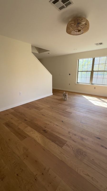 the floor we chose + the caged in fan with lights🪵🔨 

Hardwood floors, home reno inspo, home remodel, flooring, wide plank flooringg

#LTKVideo #LTKMostLoved #LTKhome