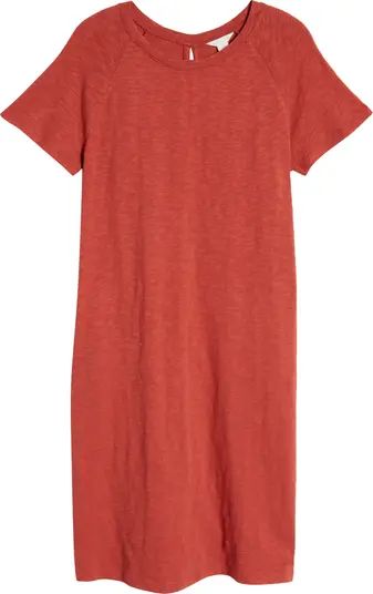 Raglan T-Shirt Dress | Nordstrom