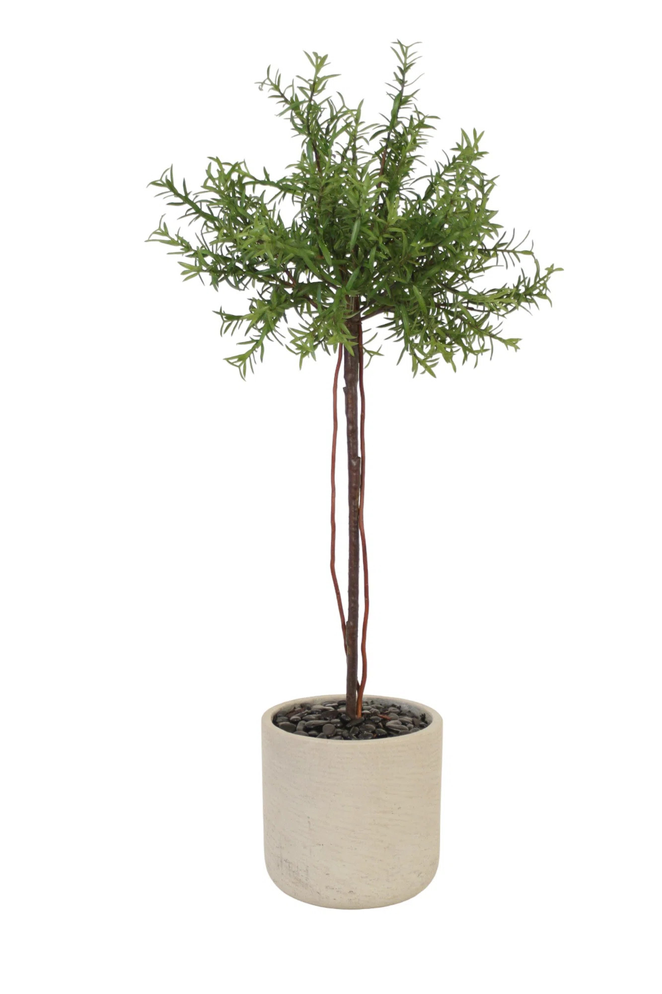 Latitude Run® Rosemary Topiary in Grey Planter | Wayfair | Wayfair North America