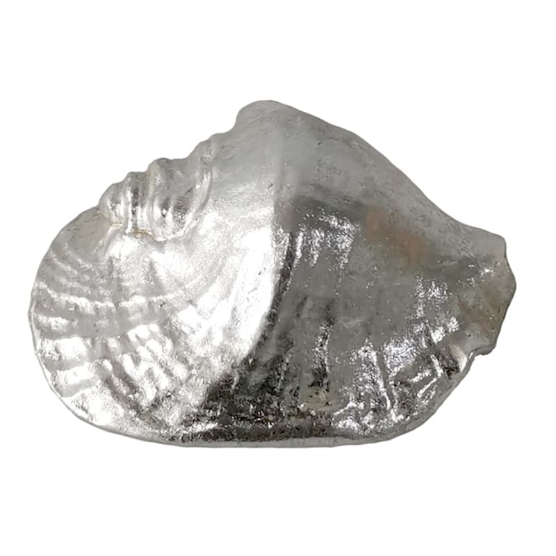 Shop all  Ty Pennington




Metallic Whelk Shell Table Decor, 4.5"








	
		
		
			
				5
			... | At Home