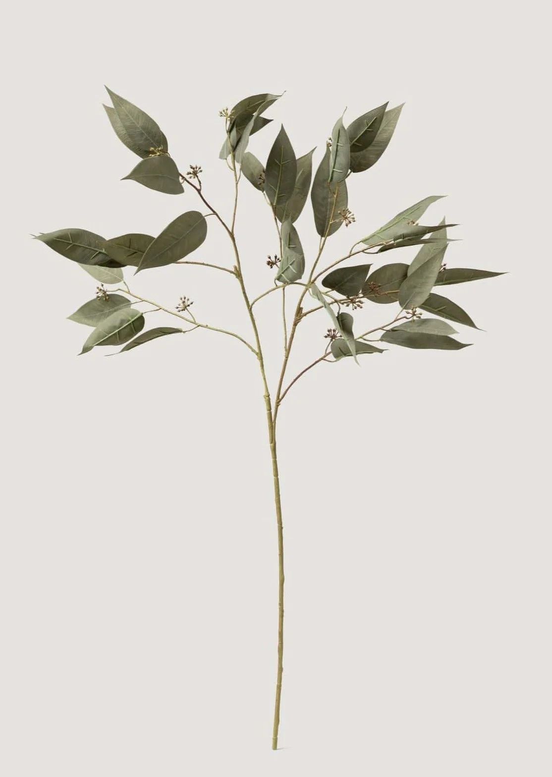 Fake Luxe Seeded Eucalyptus Branch - 36" | Afloral