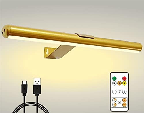 Arixinks Led Picture Light Painting Light 16'' with Remote Rechargeable, Full Metal Painting Ligh... | Amazon (US)