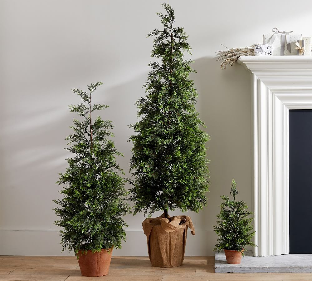 Pre-Lit Potted Faux Juniper Trees | Pottery Barn (US)