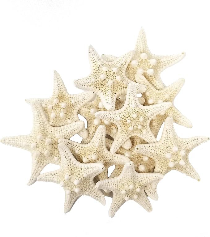 Tumbler Home Certified Knobby White Starfish 1" to 2" Set of 12 - Wedding Seashell Craft - Hand P... | Amazon (US)