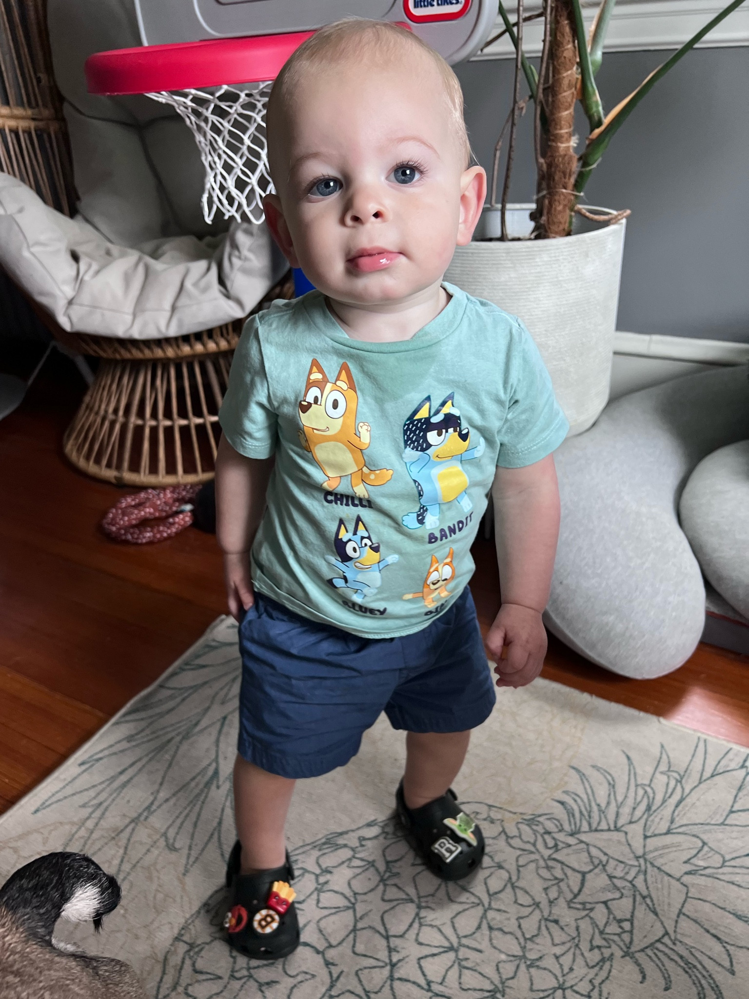 Rocco Style lol

#LTKbaby #LTKkids