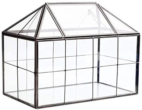 17 Stories Grace Isabella Glass Terrarium | Wayfair | Wayfair Professional