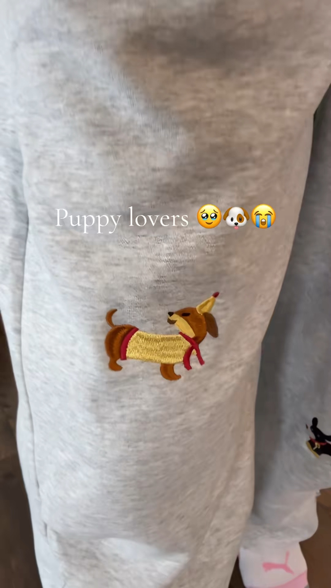 For the dog moms 

#LTKmomlife #LTKootd #LTKgrwm