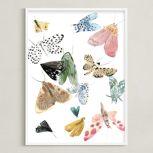 Moths | Minted