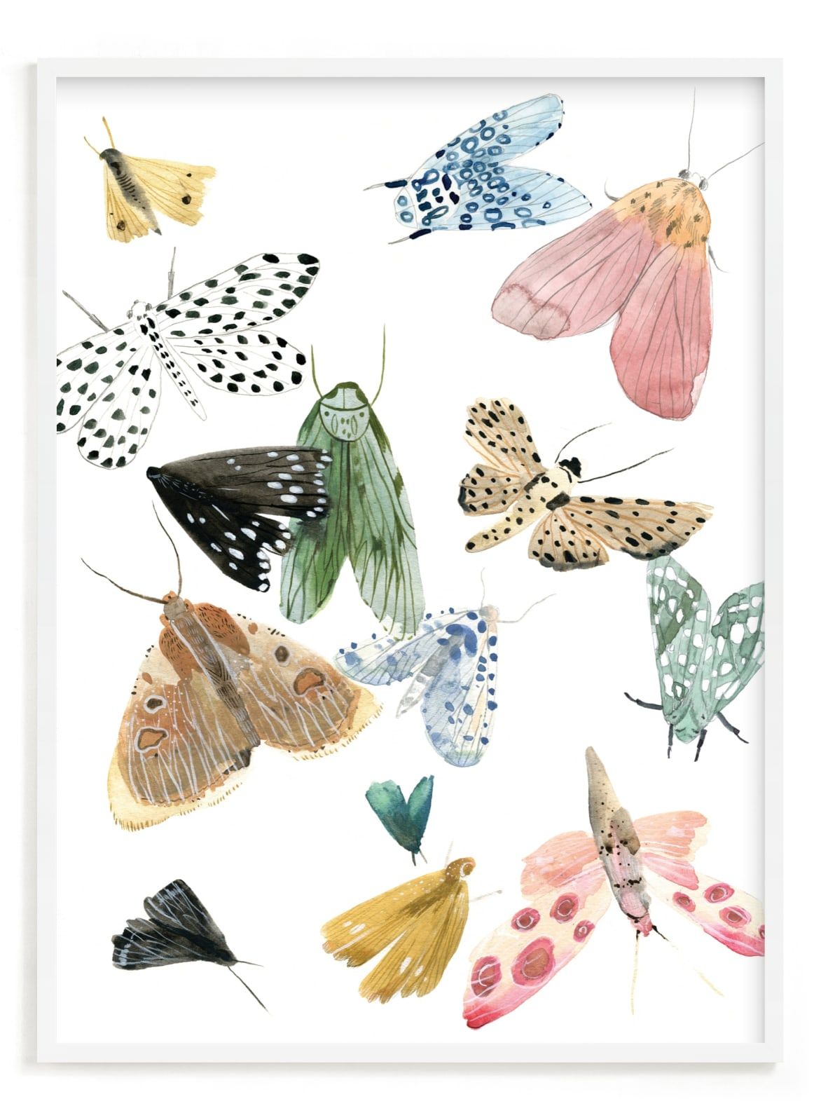 Moths | Minted