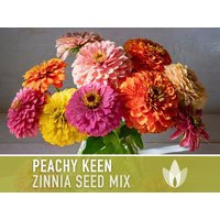 Zinnia, Peachy Keen Mix Flower Seeds - Heirloom Seeds, Cut Mix, Peach Zinnias, Mixed Flowers, Wedding Flowers | Etsy (US)