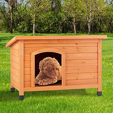 TRIXIE Natura Classic Outdoor Dog House, Weatherproof Finish, Elevated Floor | Amazon (US)