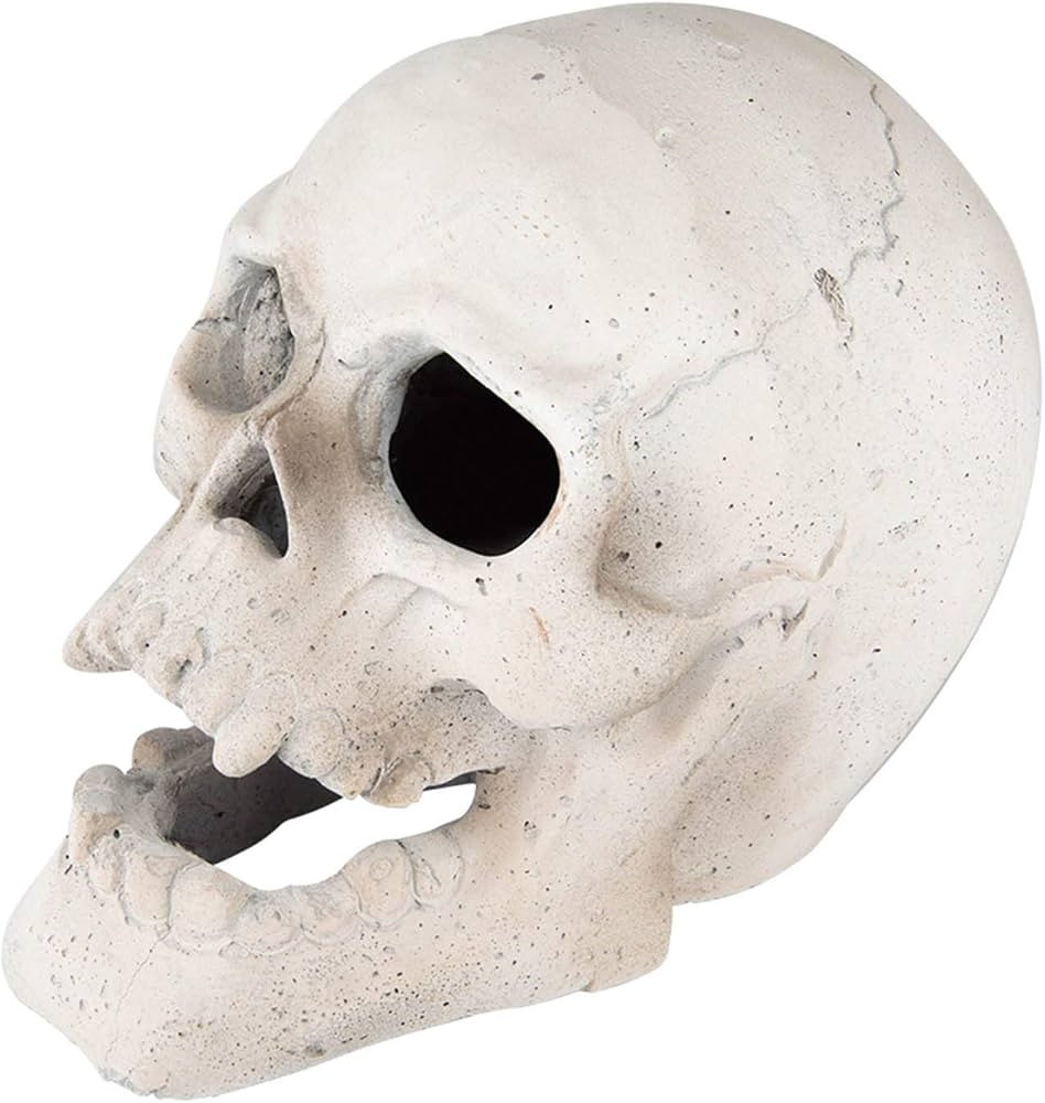 Stanbroil Fire Pits 9" Imitated Human Skull Decoration for Indoors Outdoors Campfire, Fireplace, ... | Amazon (US)