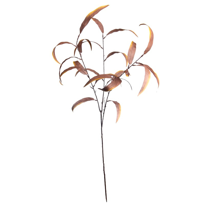 Brown Long Eucalyptus Spray, 35" | At Home