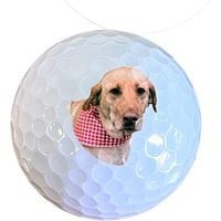 Dog Photo Golf Balls Personalized Pet Lover Gift | Set Of 12 | Etsy (US)